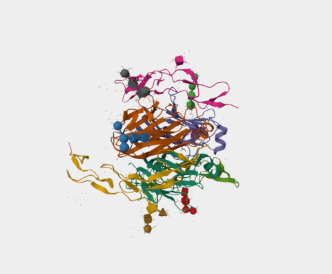 Anti-CD70 & CD47 mAbs