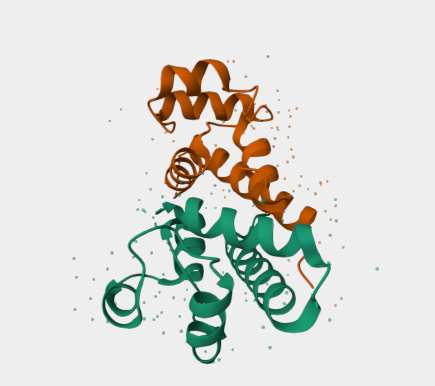 Anti-CD81 mAbs