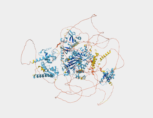 Anti-CHD2 mAbs