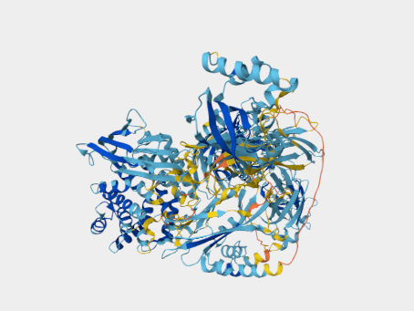 Anti-Complement C3 mAbs