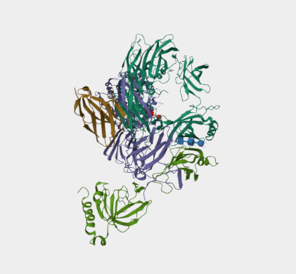 Anti-Complement C4-B mAbs