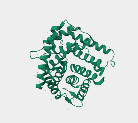 Anti-Complement C4d mAbs