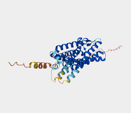 Anti-Complement Factor C5a mAbs