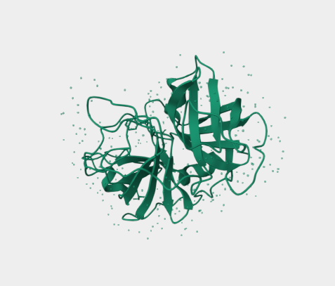 Anti-Complement Factor D mAbs