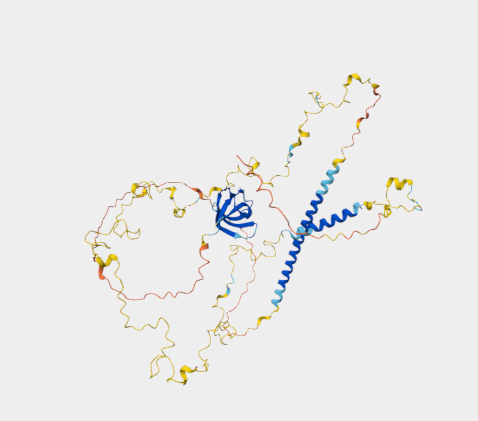 Anti-Cortactin mAbs