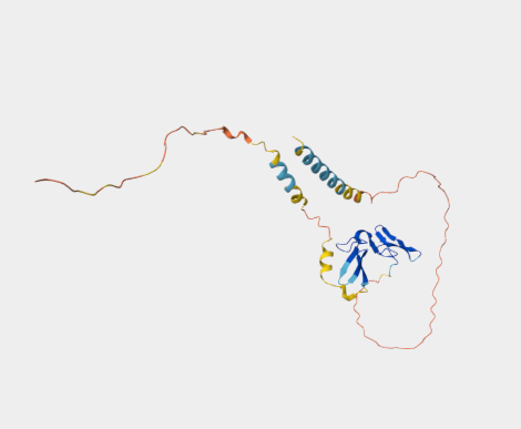 Anti-CRIPTO protein mAbs