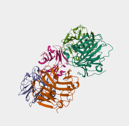 Anti-CRP mAbs