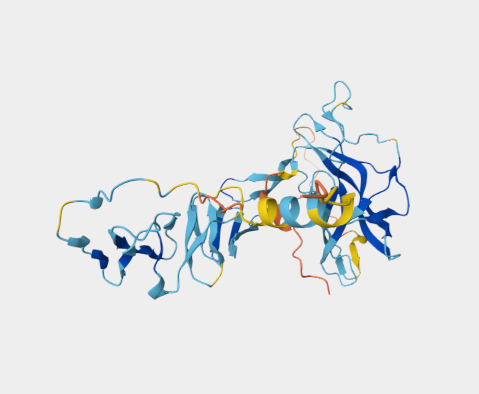 Anti-CTGF mAbs