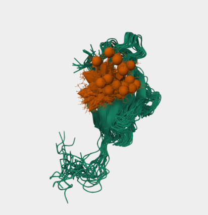 Anti-CTLA-4 mAbs