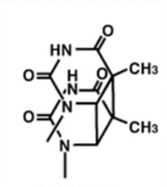 Anti-Cyclobutane pyrimidine dimer   mAbs