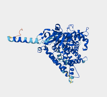 Anti-CYP1A mAbs