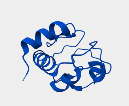 Anti-cytochrome C mAbs
