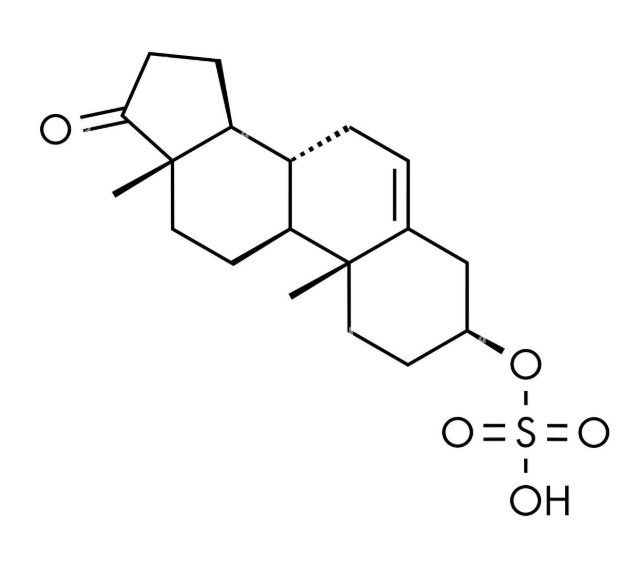 Anti-DHEA-S mAbs