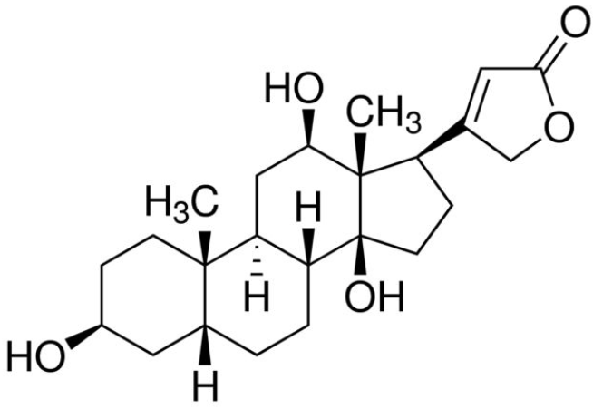 Anti-Digoxigenin B mAbs