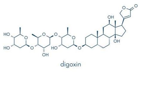 Anti-Digoxin mAbs