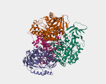 Anti-Dihydropyrimidinase-relat