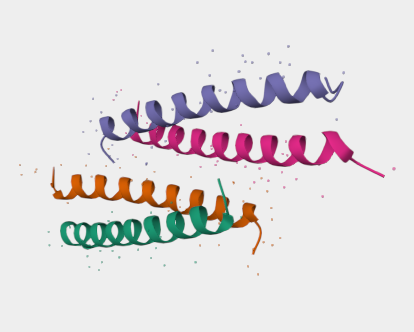 Anti-Dimeric GCN4 mAbs