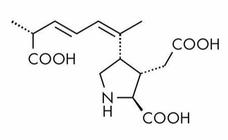 Anti-domoic acid mAbs