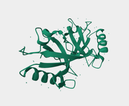 Anti-DVL2 mAbs