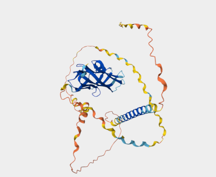 Anti-ectodysplasin A mAbs