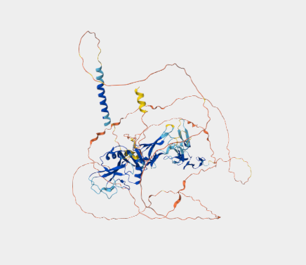 Anti-Endosialin mAbs