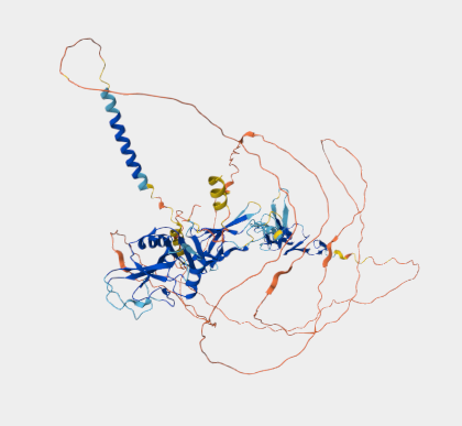 Anti-Endosialin mAbs