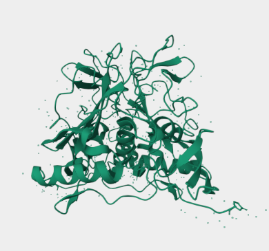 Anti-EPCAM mAbs