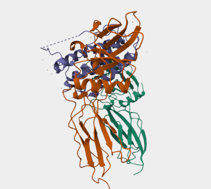 Anti-Erythropoietin receptor m