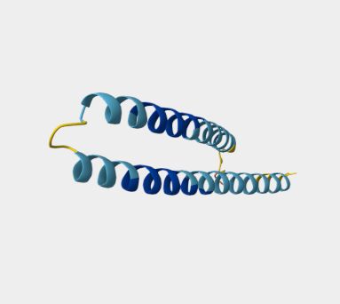 Anti-ESAT-6 mAbs
