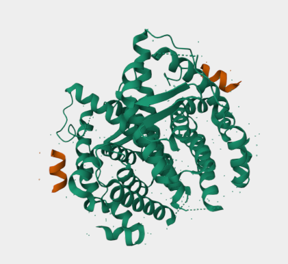 Anti-ESRRA mAbs
