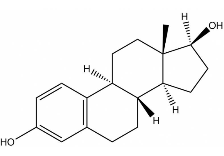 Anti-Estradiol-17β mAbs