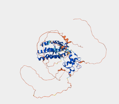 Anti-Estrogen receptor mAbs