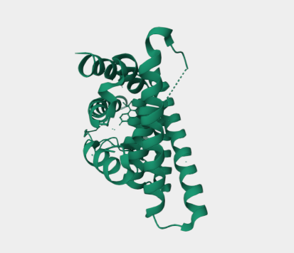 Anti-estrogen receptor beta mA