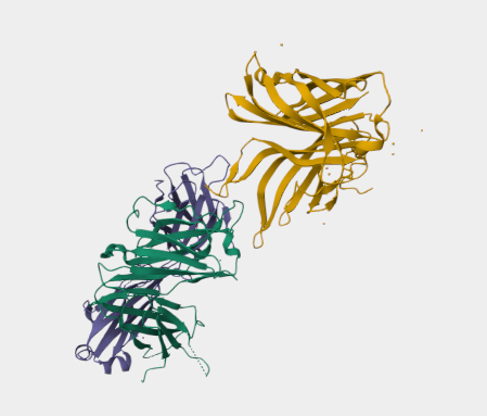 Anti-Factor H binding protein 