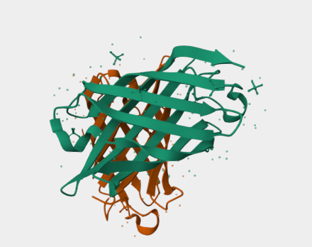Anti-Factor H binding   protei