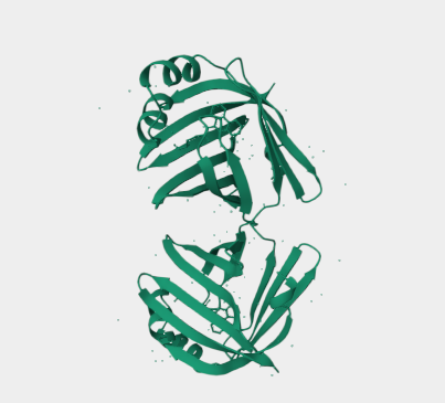 Anti-Fatty acid-binding protei