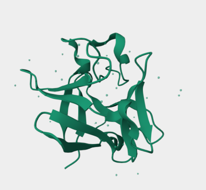 Anti-FGF-2 mAbs