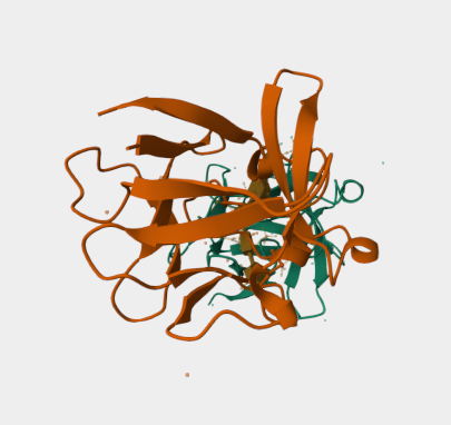 Anti-FGF1 mAbs