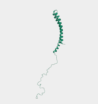 Anti-Fibrillar alpha-syn mAbs