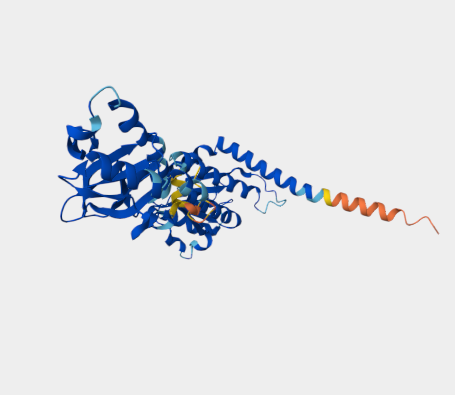 Anti-FlgI mAbs
