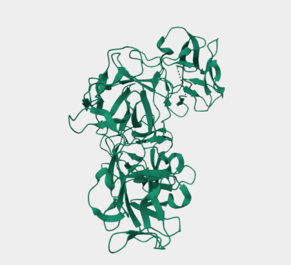 Anti-FSCN1 mAbs