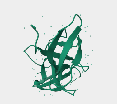 Anti-FXR2 mAbs
