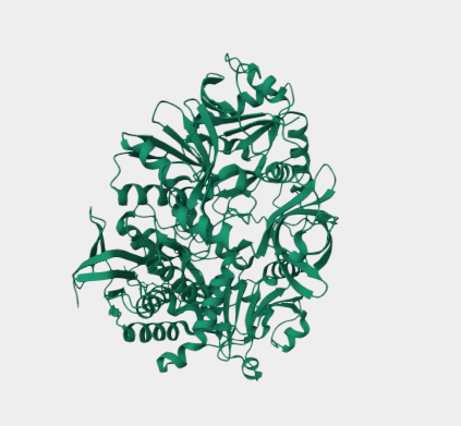 Anti-GD2 mAbs