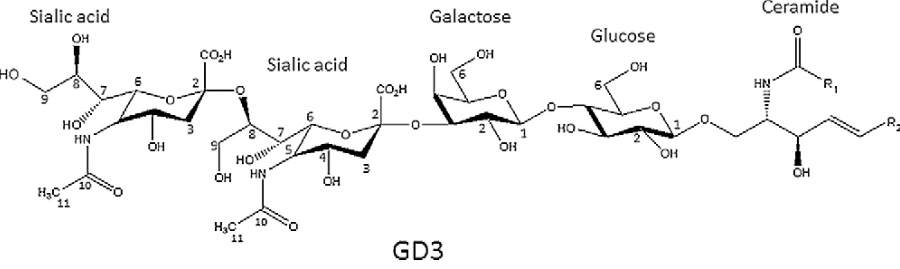 Anti-GD3 mAbs