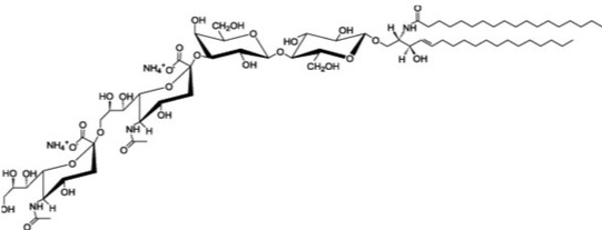 Anti-GD3 ganglioside   mAbs
