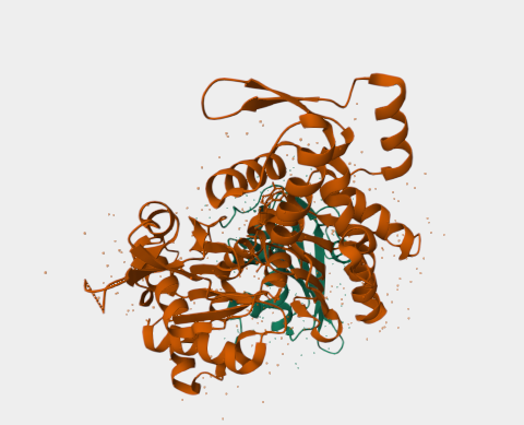 Anti-Gelsolin mAbs