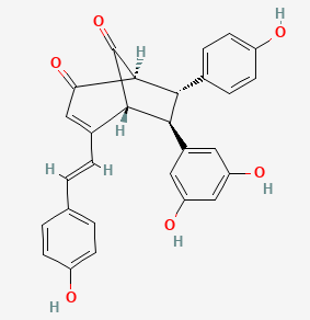 Anti-Gintexin A type   PLA2 mA