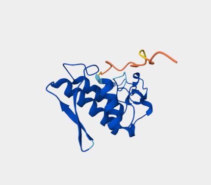 Anti-Gintexin A type   PLA2 mA