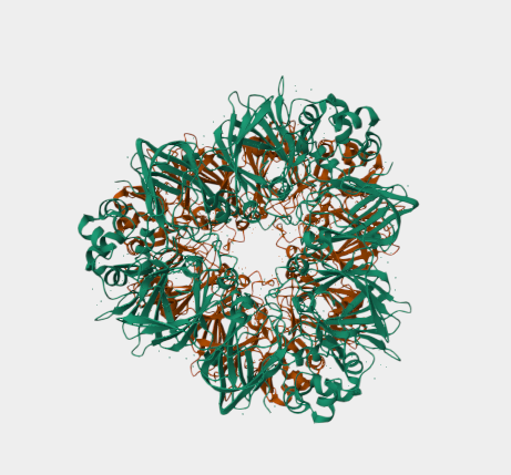 Anti-Glycinin mAbs