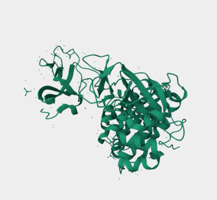 Anti-Glycoprotein C mAbs